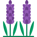 Lila blommor och dess betydelse