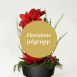 Floristens julgrupp